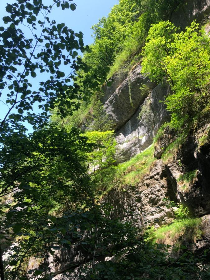 Au Pied Du Vercors Tout Est Permis La Riviere (Isere) Exterior foto